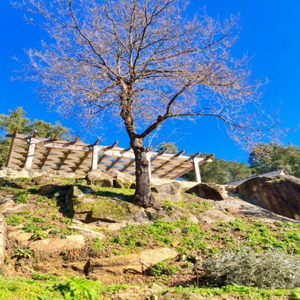 Paiva Valley Alvarenga Esterno foto